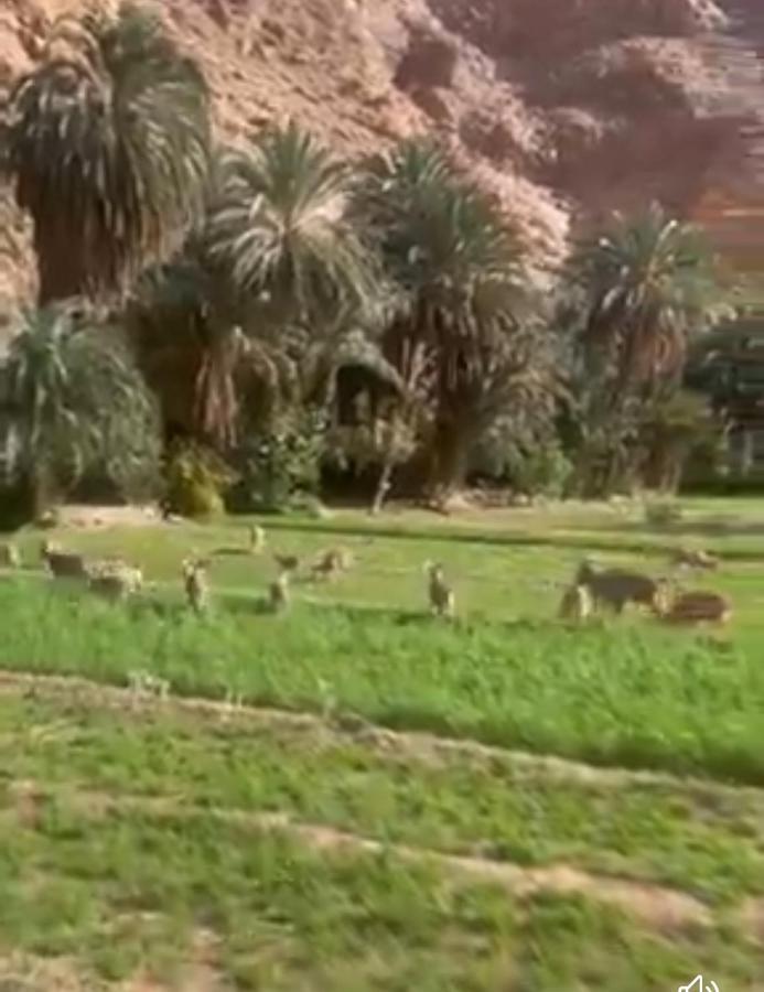 Riad Dar Ahlam Ait Baha ภายนอก รูปภาพ